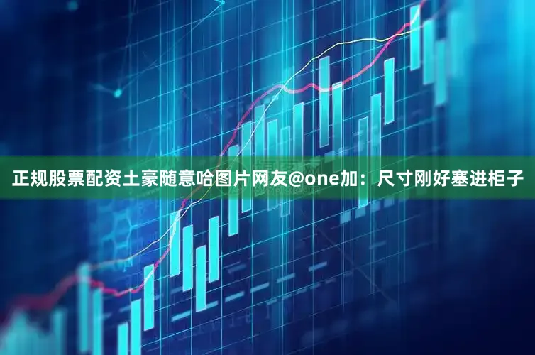 正规股票配资土豪随意哈图片网友@one加：尺寸刚好塞进柜子