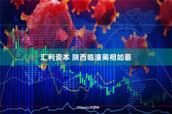 汇利资本 陕西临潼蔺相如墓