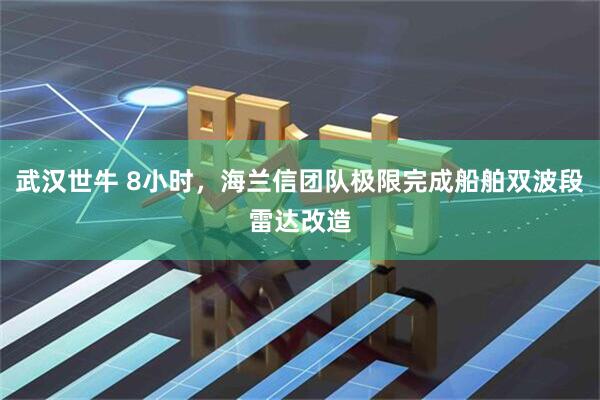 武汉世牛 8小时，海兰信团队极限完成船舶双波段雷达改造