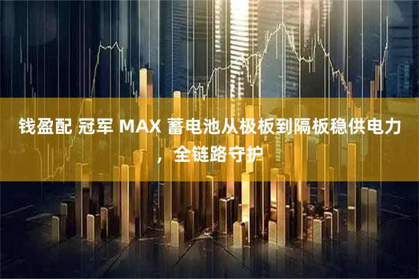 钱盈配 冠军 MAX 蓄电池从极板到隔板稳供电力，全链路守护