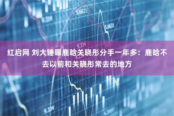 红启网 刘大锤曝鹿晗关晓彤分手一年多：鹿晗不去以前和关晓彤常去的地方